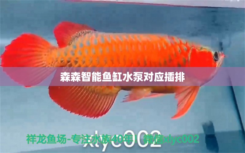 森森智能魚缸水泵對(duì)應(yīng)插排 森森魚缸 第2張