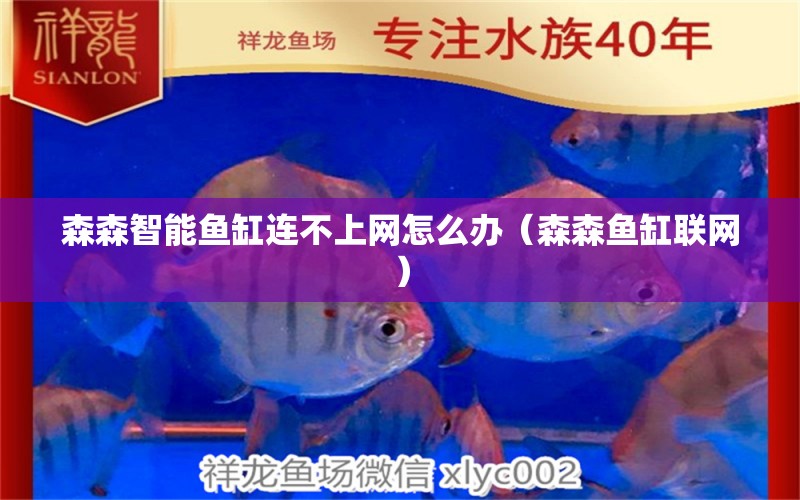 森森智能魚缸連不上網(wǎng)怎么辦（森森魚缸聯(lián)網(wǎng)）