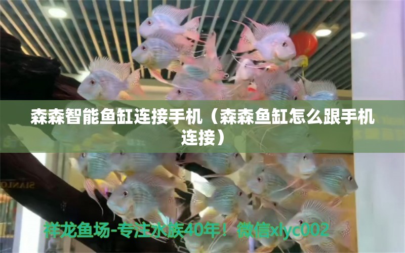 森森智能魚(yú)缸連接手機(jī)（森森魚(yú)缸怎么跟手機(jī)連接）