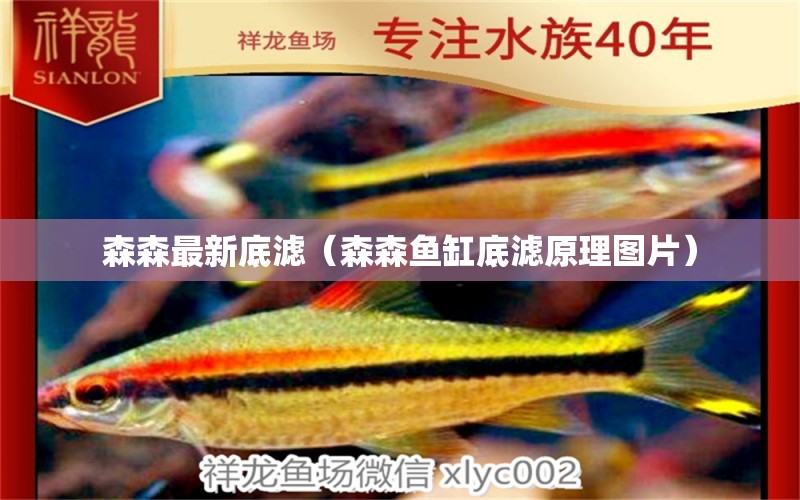 森森最新底濾（森森魚缸底濾原理圖片） 森森魚缸