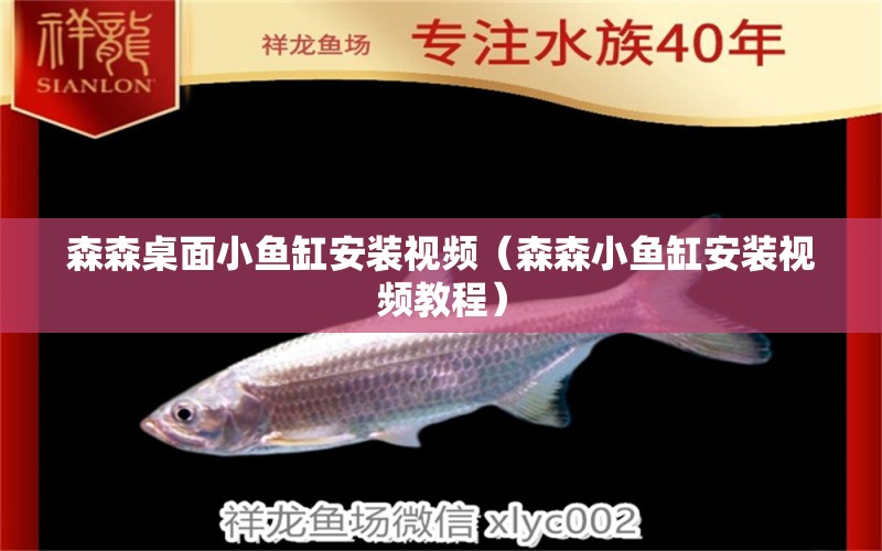 森森桌面小魚(yú)缸安裝視頻（森森小魚(yú)缸安裝視頻教程）