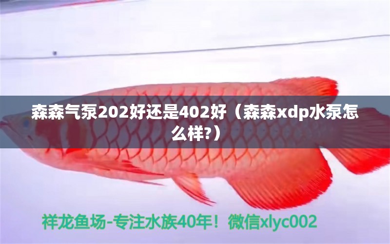 森森氣泵202好還是402好（森森xdp水泵怎么樣?）