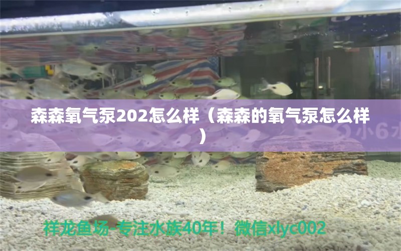 森森氧氣泵202怎么樣（森森的氧氣泵怎么樣）