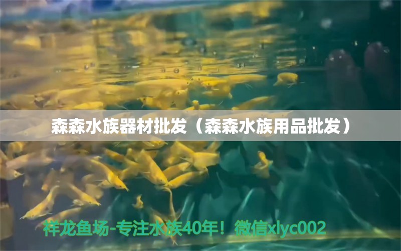 森森水族器材批發(fā)（森森水族用品批發(fā)）