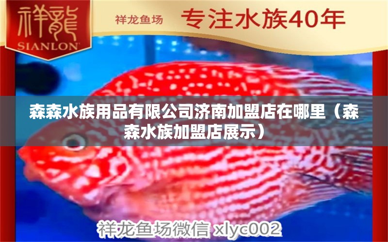 森森水族用品有限公司濟(jì)南加盟店在哪里（森森水族加盟店展示）