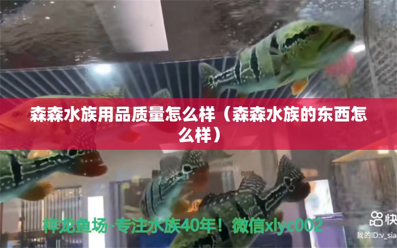 森森水族用品質(zhì)量怎么樣（森森水族的東西怎么樣） 水族用品