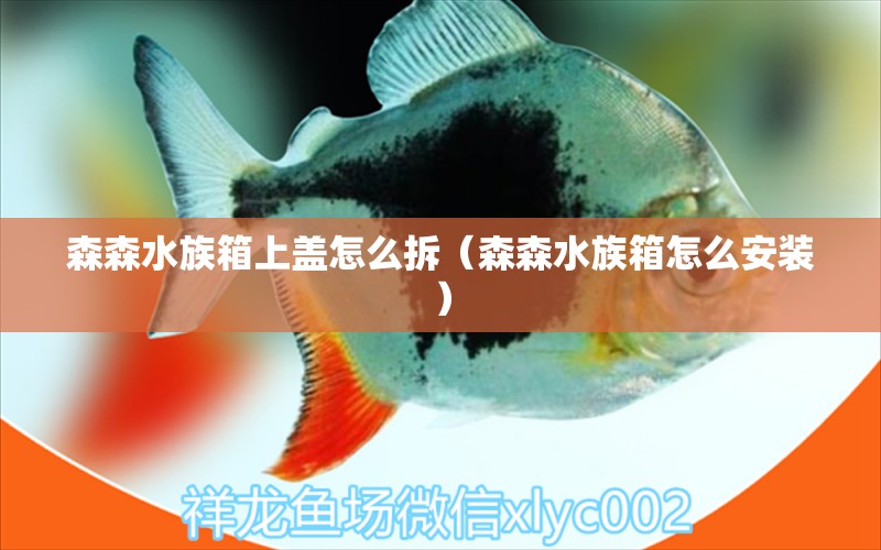 森森水族箱上蓋怎么拆（森森水族箱怎么安裝）