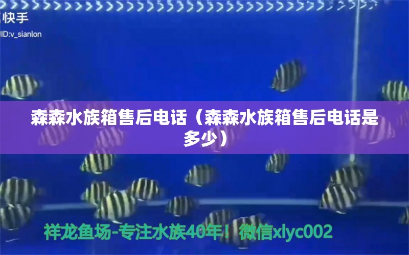 森森水族箱售后電話（森森水族箱售后電話是多少）