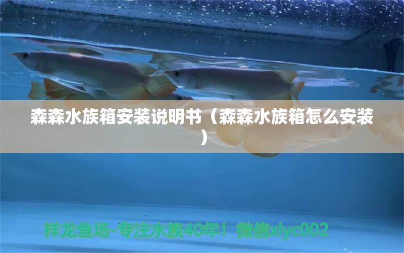 森森水族箱安裝說(shuō)明書（森森水族箱怎么安裝）