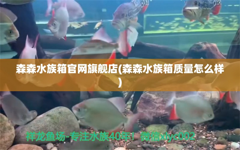 森森水族箱官網(wǎng)旗艦店(森森水族箱質(zhì)量怎么樣) 魚缸/水族箱