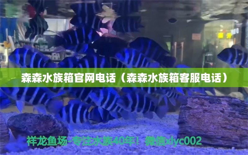 森森水族箱官網(wǎng)電話（森森水族箱客服電話）