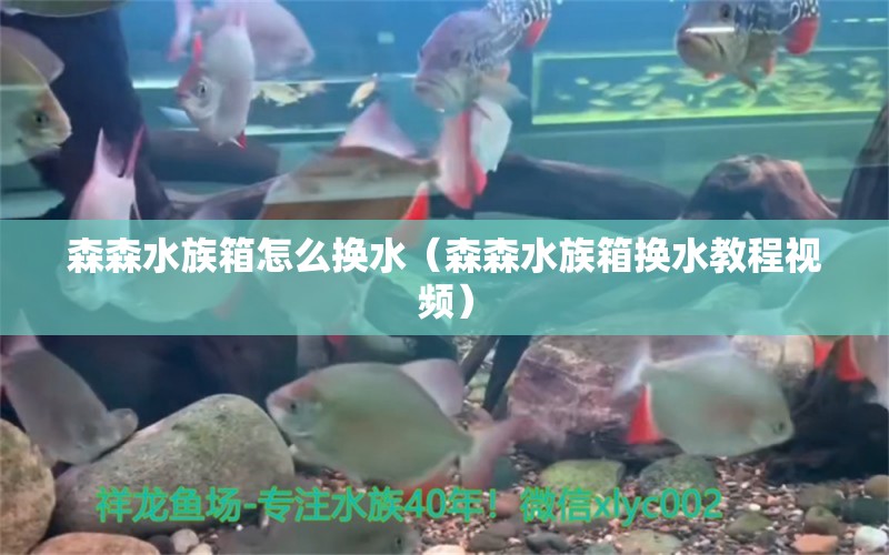 森森水族箱怎么換水（森森水族箱換水教程視頻）