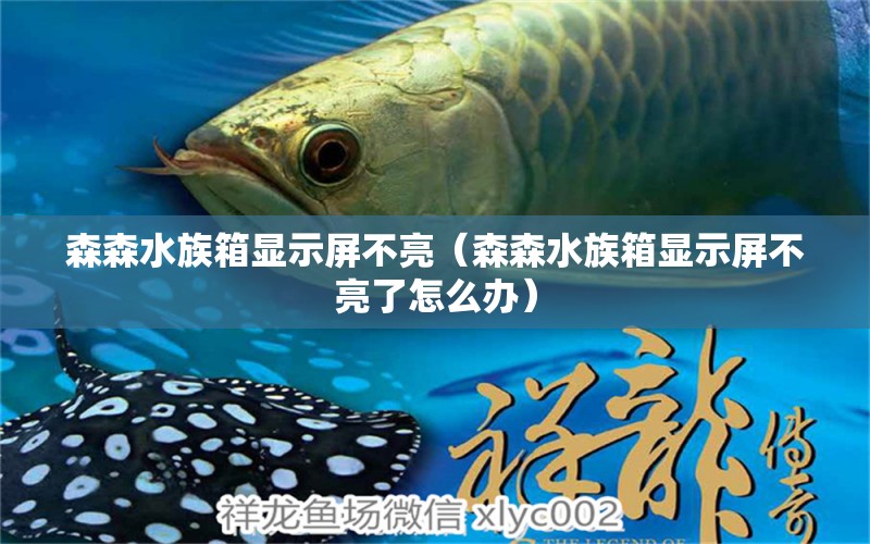 森森水族箱顯示屏不亮（森森水族箱顯示屏不亮了怎么辦） 魚(yú)缸/水族箱