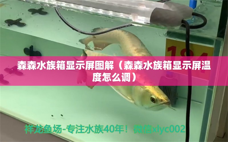 森森水族箱顯示屏圖解（森森水族箱顯示屏溫度怎么調(diào)）