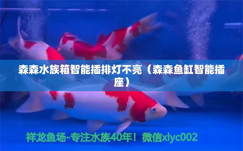 森森水族箱智能插排燈不亮（森森魚缸智能插座）