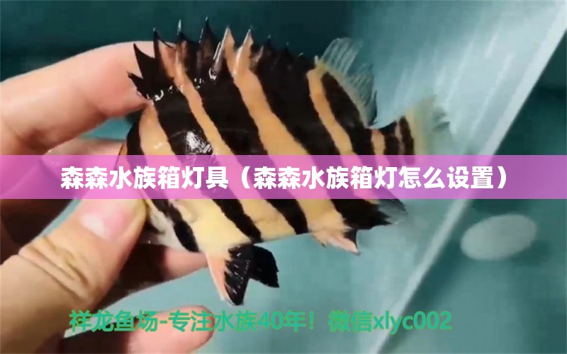 森森水族箱燈具（森森水族箱燈怎么設(shè)置）