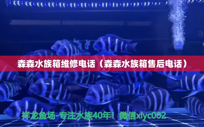 森森水族箱維修電話（森森水族箱售后電話） 魚缸/水族箱