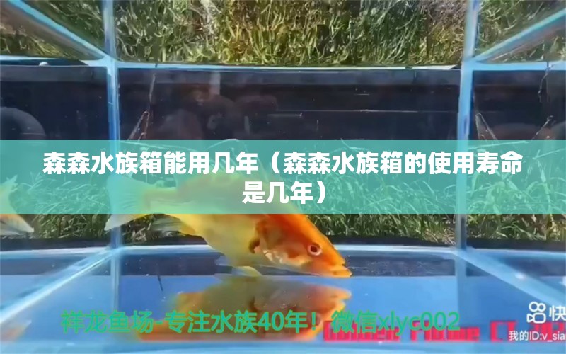 森森水族箱能用幾年（森森水族箱的使用壽命是幾年） 魚缸/水族箱