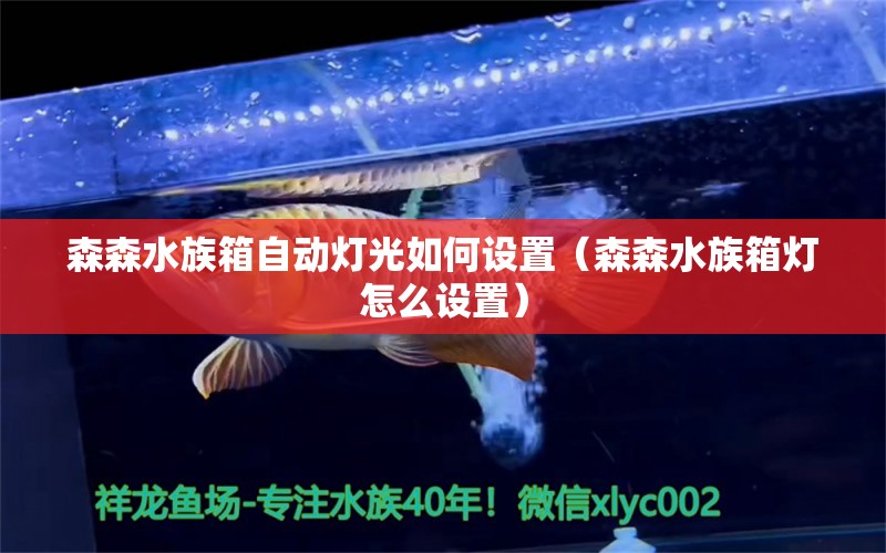 森森水族箱自動(dòng)燈光如何設(shè)置（森森水族箱燈怎么設(shè)置）