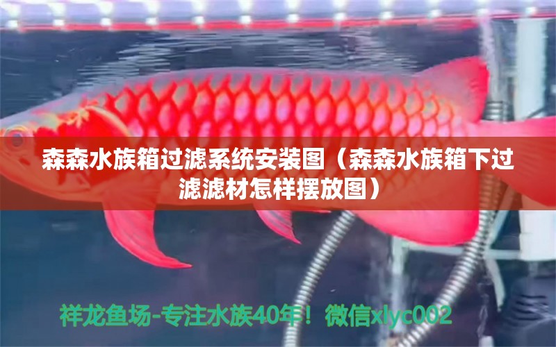 森森水族箱過濾系統(tǒng)安裝圖（森森水族箱下過濾濾材怎樣擺放圖）