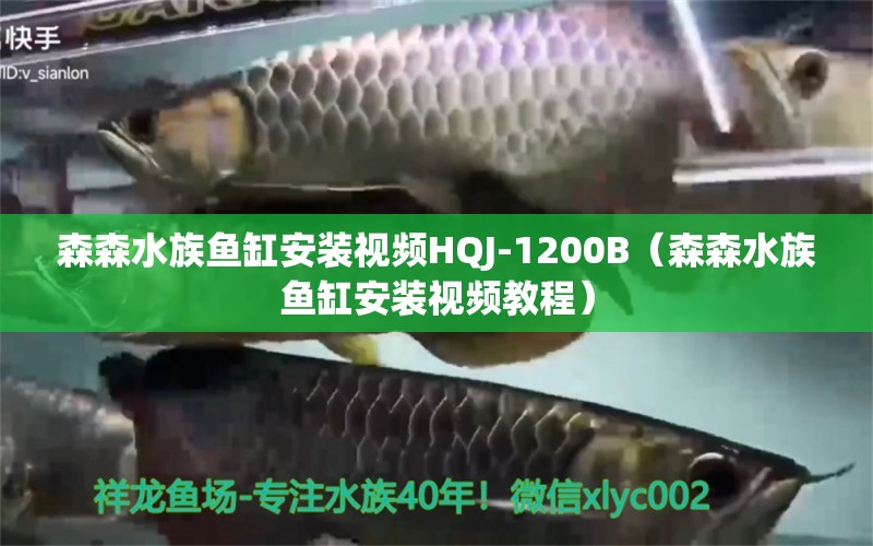 森森水族魚缸安裝視頻HQJ-1200B（森森水族魚缸安裝視頻教程） 過濾設(shè)備