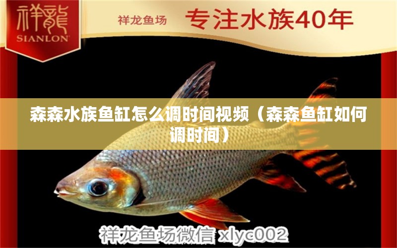 森森水族魚(yú)缸怎么調(diào)時(shí)間視頻（森森魚(yú)缸如何調(diào)時(shí)間）