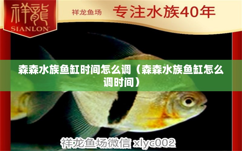 森森水族魚(yú)缸時(shí)間怎么調(diào)（森森水族魚(yú)缸怎么調(diào)時(shí)間） 過(guò)濾設(shè)備