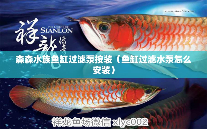 森森水族魚(yú)缸過(guò)濾泵按裝（魚(yú)缸過(guò)濾水泵怎么安裝）