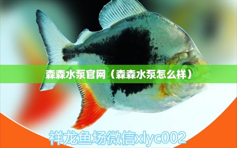 森森水泵官網(wǎng)（森森水泵怎么樣）