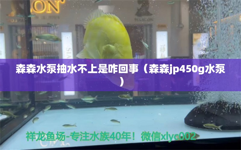 森森水泵抽水不上是咋回事（森森jp450g水泵）