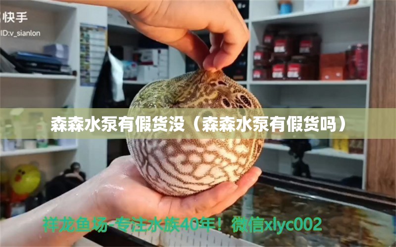 森森水泵有假貨沒（森森水泵有假貨嗎）