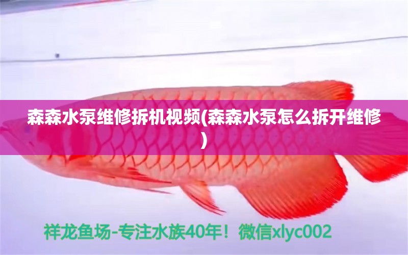 森森水泵維修拆機視頻(森森水泵怎么拆開維修) 水族燈（魚缸燈）