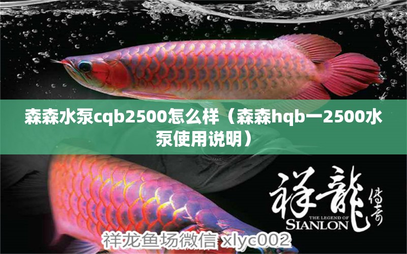 森森水泵cqb2500怎么樣（森森h(huán)qb一2500水泵使用說明）