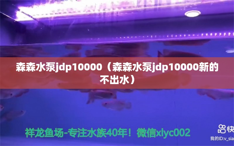 森森水泵jdp10000（森森水泵jdp10000新的不出水）