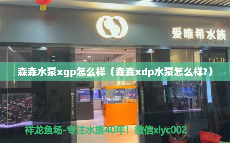 森森水泵xgp怎么樣（森森xdp水泵怎么樣?）