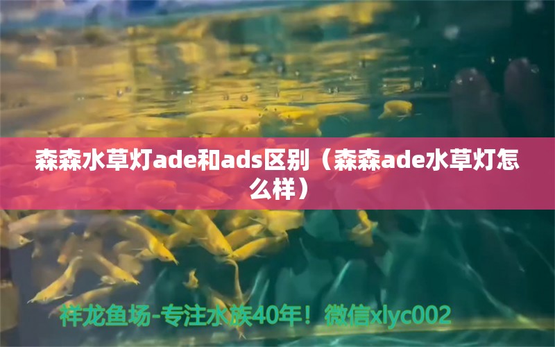 森森水草燈ade和ads區(qū)別（森森ade水草燈怎么樣）