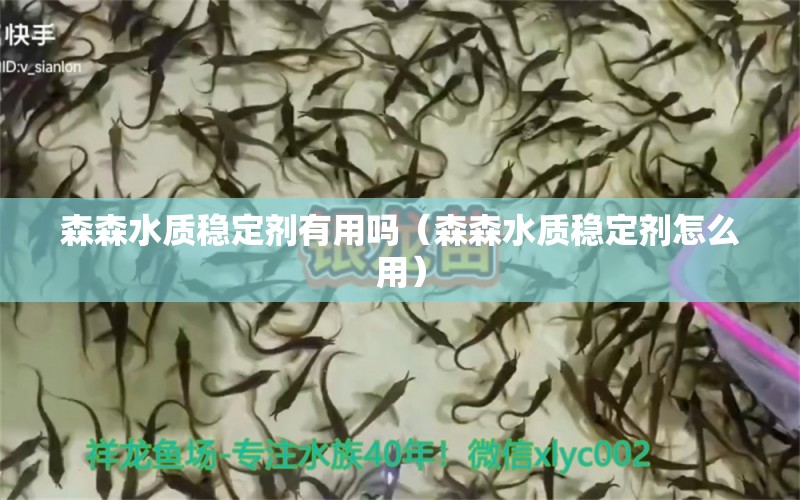 森森水質(zhì)穩(wěn)定劑有用嗎（森森水質(zhì)穩(wěn)定劑怎么用） 森森魚缸