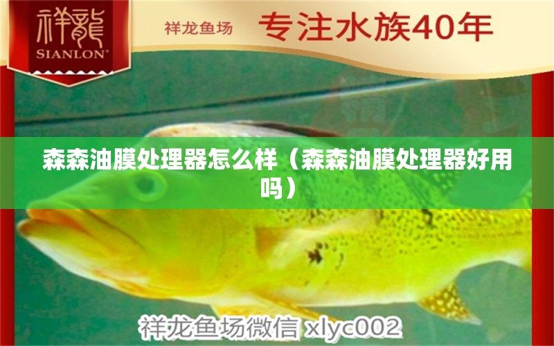 森森油膜處理器怎么樣（森森油膜處理器好用嗎） 森森魚缸