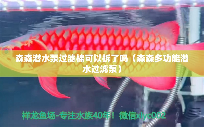 森森潛水泵過濾棉可以拆了嗎（森森多功能潛水過濾泵） 森森魚缸