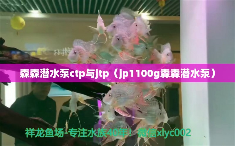 森森潛水泵ctp與jtp（jp1100g森森潛水泵） 森森魚(yú)缸