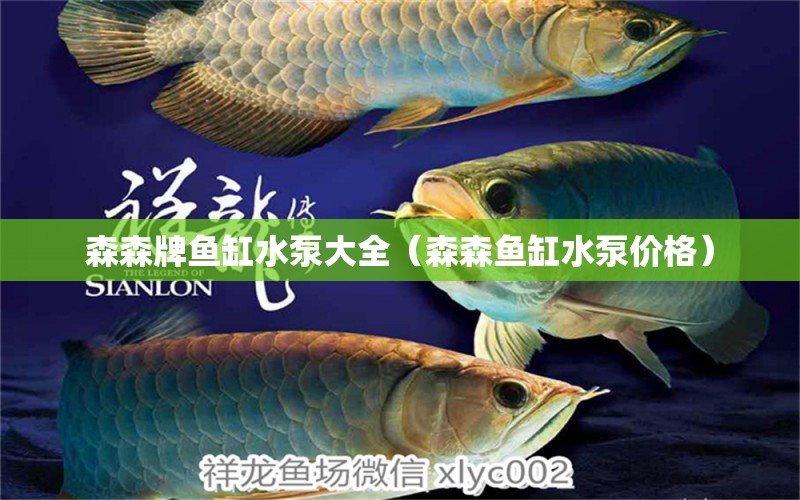 森森牌魚缸水泵大全（森森魚缸水泵價格）