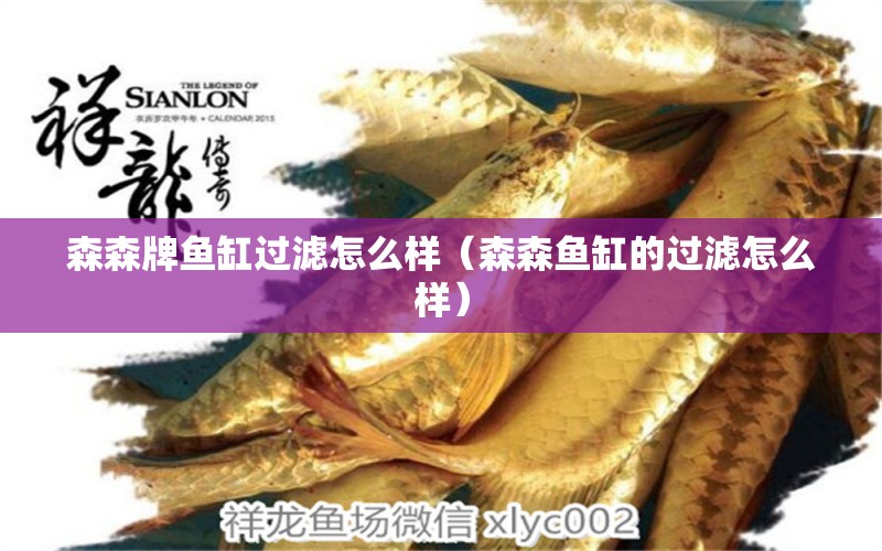 森森牌魚(yú)缸過(guò)濾怎么樣（森森魚(yú)缸的過(guò)濾怎么樣）