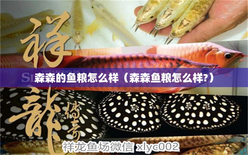 森森的魚(yú)糧怎么樣（森森魚(yú)糧怎么樣?）