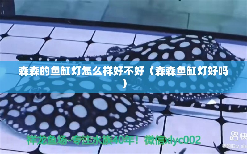 森森的魚缸燈怎么樣好不好（森森魚缸燈好嗎）