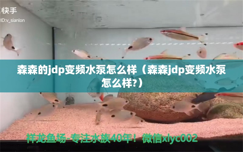 森森的jdp變頻水泵怎么樣（森森jdp變頻水泵怎么樣?）