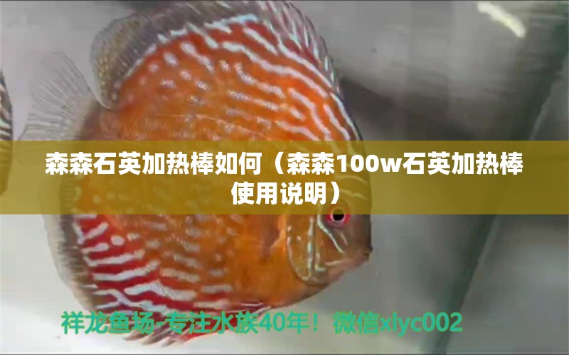 森森石英加熱棒如何（森森100w石英加熱棒使用說明）