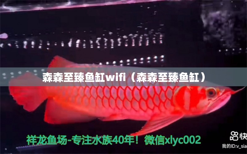 森森至臻魚(yú)缸wifi（森森至臻魚(yú)缸）