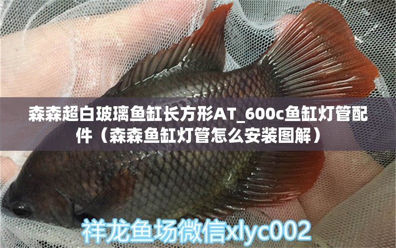 森森超白玻璃魚(yú)缸長(zhǎng)方形AT_600c魚(yú)缸燈管配件（森森魚(yú)缸燈管怎么安裝圖解）