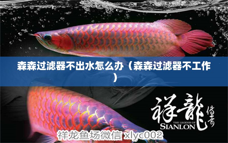 森森過(guò)濾器不出水怎么辦（森森過(guò)濾器不工作） 森森魚缸