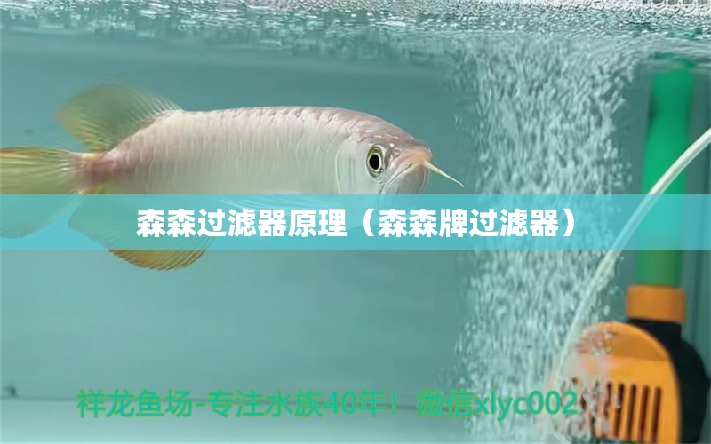 森森過濾器原理（森森牌過濾器） 森森魚缸